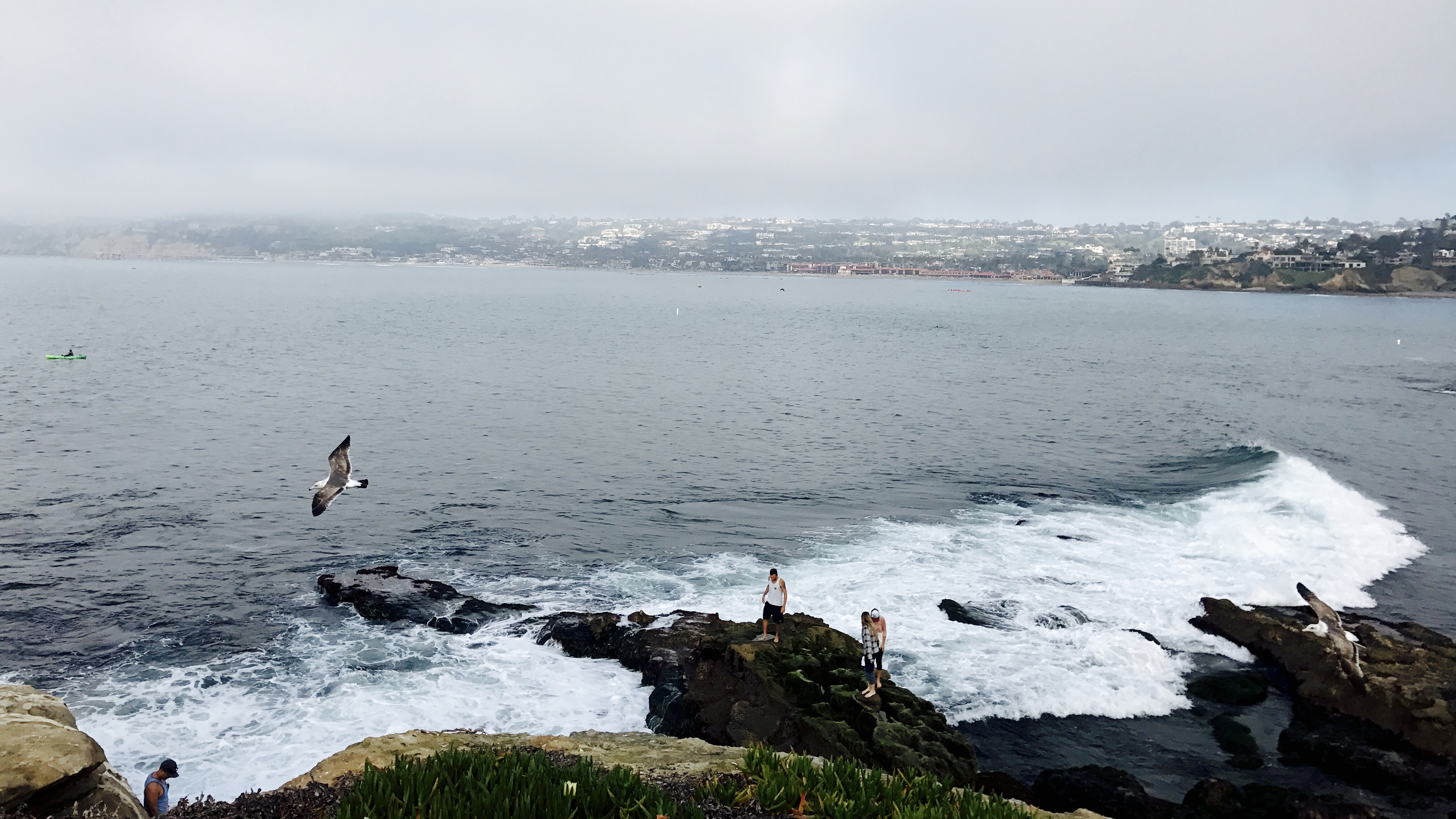La Jolla coast, March 11, 2017